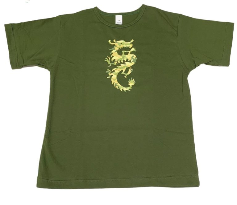 t-shirt dragon